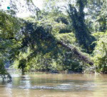 anacostia river